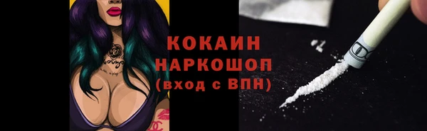 стаф Баксан