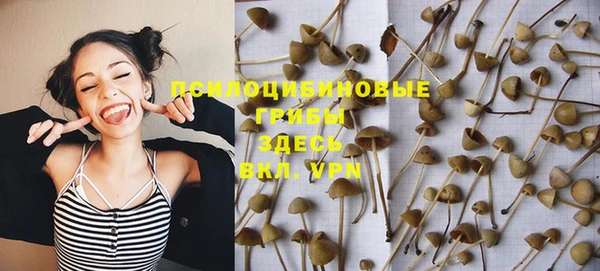 шишки Балахна