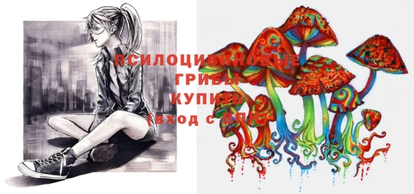 стаф Баксан