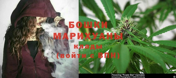 шишки Балахна