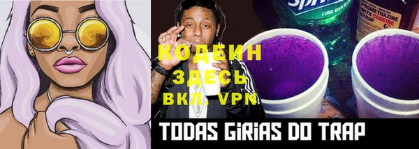 шишки Балахна