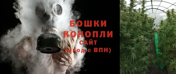 шишки Балахна