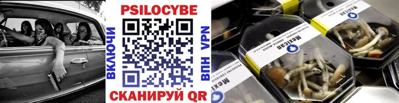 наркота  Боровичи  Псилоцибиновые грибы ЛСД 