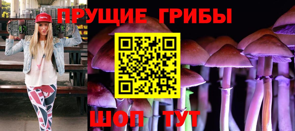 Псилоцибиновые грибы мицелий Боровичи