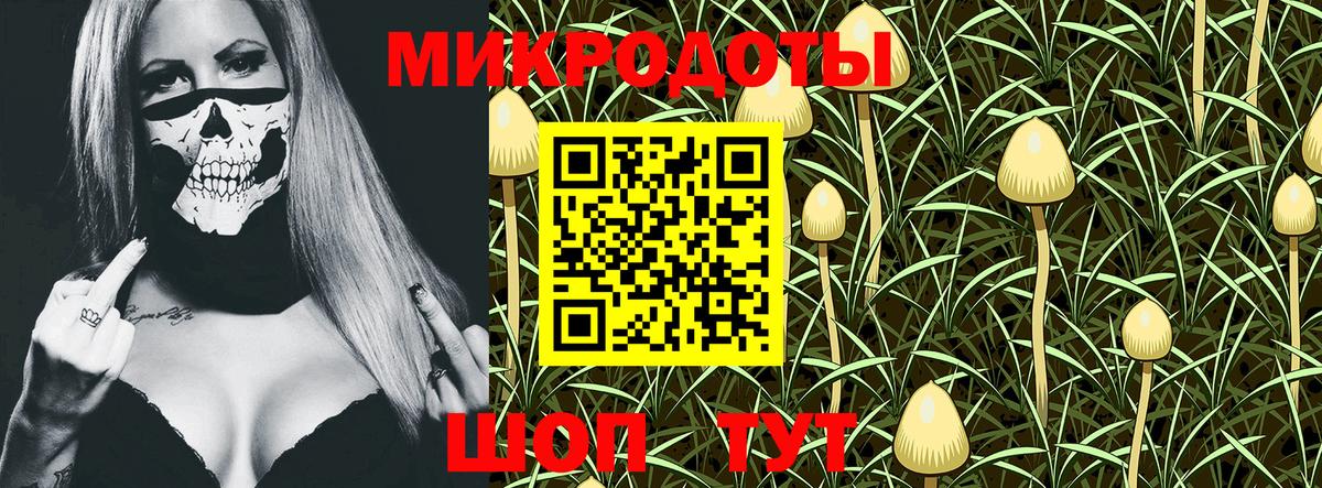 Псилоцибиновые грибы GOLDEN TEACHER Боровичи