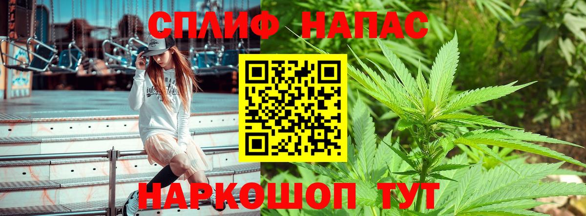 Канабис планчик  МАРИХУАНА Bruce Banner  Боровичи  Марихуана White Widow 